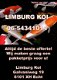 Japan Koi Hunting Reis Ga mee met Limburg Koi - 1 - Thumbnail