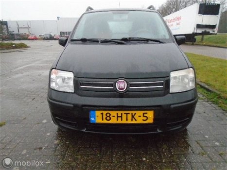 Fiat Panda - 1.2 Edizione Cool D-riem is vervangen 202000 km - 1