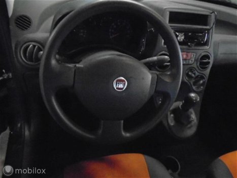 Fiat Panda - 1.2 Edizione Cool D-riem is vervangen 202000 km - 1