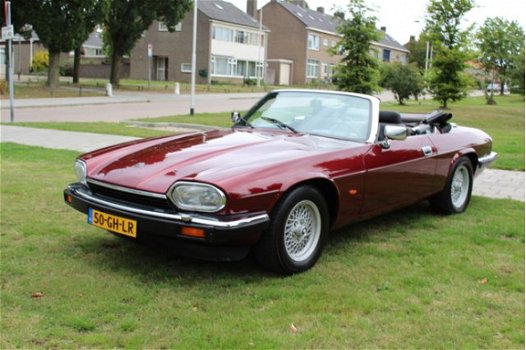 Jaguar XJS - 5.3 V12 CONVERTIBLE Laatste 17 jaar 1 eigenaar - 1