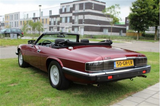 Jaguar XJS - 5.3 V12 CONVERTIBLE Laatste 17 jaar 1 eigenaar - 1