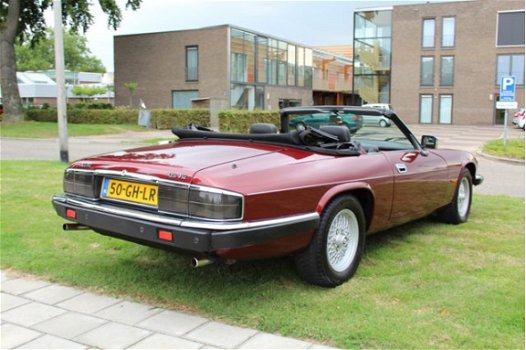 Jaguar XJS - 5.3 V12 CONVERTIBLE Laatste 17 jaar 1 eigenaar - 1