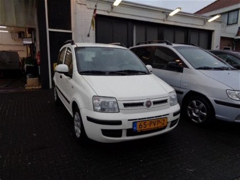 Fiat Panda - 1.2 69 EDIZIONE COOL - 1