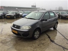 Fiat Punto - 1.2 ACTIVE