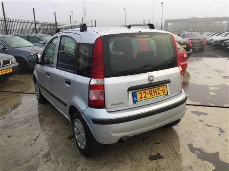 Fiat Panda - 1.2 Dynamic - 1