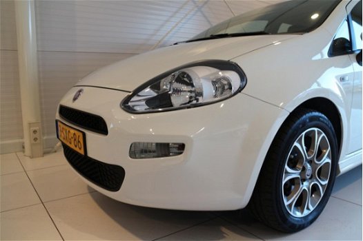 Fiat Punto - 0.9 TwinAir 85pk 5d Edizione Cool | AIRCO | LICHTMETALEN VELGEN - 1