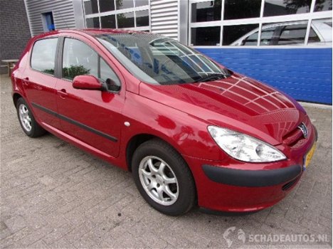 Peugeot 307 - 1.6 16V XS - 1