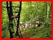 ardennen durbuy vakantiehuis max 8 p all in prijzen NU -5% korting bij boeking in januari 2020 - 8 - Thumbnail