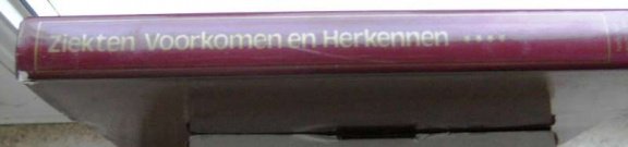 Nieuwe Medische Encyclopedie - Ziekte voorkomen en herkennen 4 - Afbeelding 4