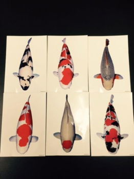 Koi stickers - 1