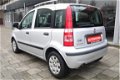 Fiat Panda - 1.2 Actual / Nieuwe APK / Zeer netjes - 1 - Thumbnail