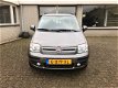 Fiat Panda - 1.2 Perlina - 1 - Thumbnail