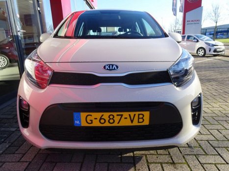 Kia Picanto - 1.0 CVVT Lupini Edition / 15