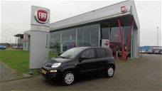 Fiat Panda - 0.9 TwinAir Lounge | Navi | bluetooth