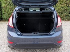 Ford Fiesta - 1.0 EcoBoost Titanium CLIMA PDC 16 INCH NAP