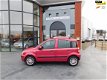 Fiat Panda - 1.2 Edizione Cool AIRCO LMV - 1 - Thumbnail