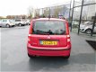 Fiat Panda - 1.2 Edizione Cool AIRCO LMV - 1 - Thumbnail