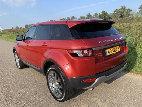 Land Rover Range Rover Evoque - 2.2 SD4 4WD Prestige PANODAK+XENON+LEER+190PK+MERIDIAN+STUURVERWARMI - 1