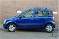 Fiat Panda - 1.2 Dynamic / Lage kmstand / 5 deurs - 1 - Thumbnail