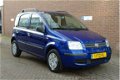 Fiat Panda - 1.2 Dynamic / Lage kmstand / 5 deurs - 1 - Thumbnail