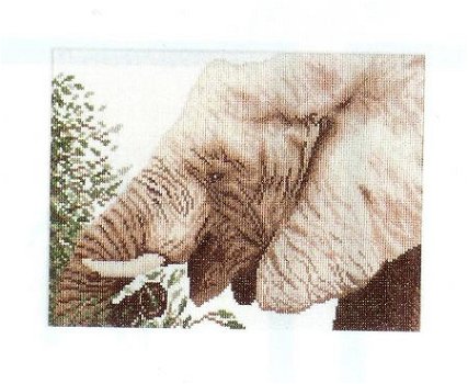 SALE LANARTE BORDUURPAKKET EATING ELEPHANT 35141 - 1