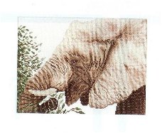 SALE LANARTE BORDUURPAKKET EATING ELEPHANT 35141