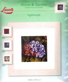 AANBIEDING  LANARTE BORDUURPAKKET HYDRANGEA