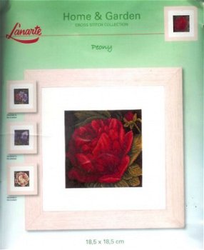 AANBIEDING LANARTE BORDUURPAKKET PEONY - 1