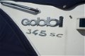 Gobbi 345 SC - 6 - Thumbnail