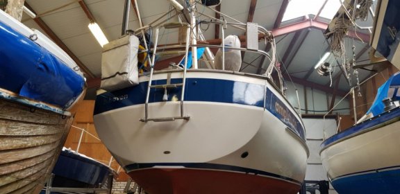 Hallberg Rassy 312 MK1 - 5