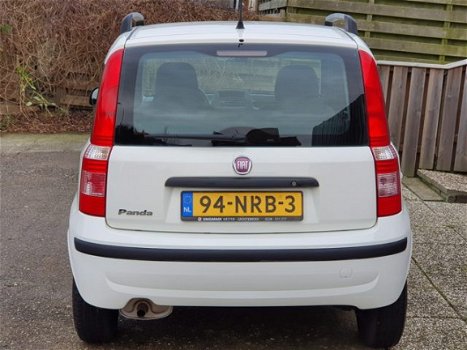 Fiat Panda - 1.2 Edizione Cool - 1