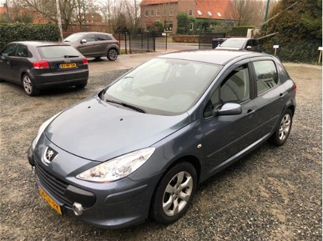 Peugeot 307 - XSi 2.0-16V NAVI D-RIEM VERVANGEN - 1