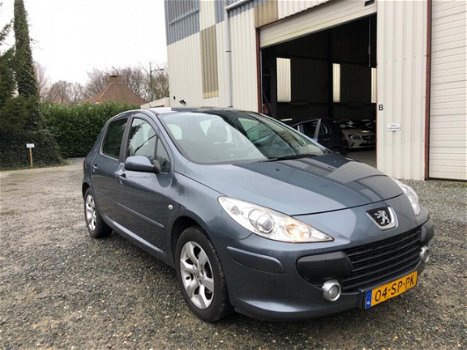 Peugeot 307 - XSi 2.0-16V NAVI D-RIEM VERVANGEN - 1