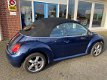 Volkswagen New Beetle Cabriolet - 1.6 Turijn Comfort - 1 - Thumbnail