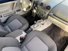 Volkswagen New Beetle Cabriolet - 1.6 Turijn Comfort