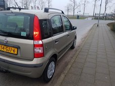 Fiat Panda - 1.2 Edizione Cool