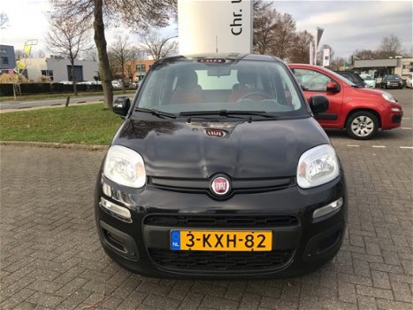 Fiat Panda - TwinAir 65 Edizione Cool - 1