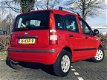 Fiat Panda - 1.2 Edizione Cool - 1 - Thumbnail