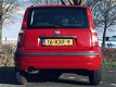 Fiat Panda - 1.2 Edizione Cool - 1 - Thumbnail