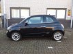 Fiat 500 - 1.2 Lounge - 1 - Thumbnail