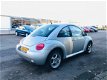 Volkswagen New Beetle - 1.6 Bj 2002 KM 151900 NAP Nieuw APK Met Airco - 1 - Thumbnail