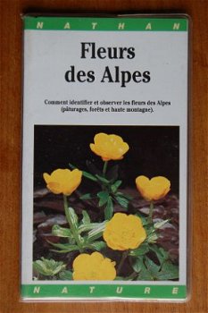 Fleurs des Alpes - 1