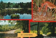 Kampeerboerderij en Camping De Langenberg 1974