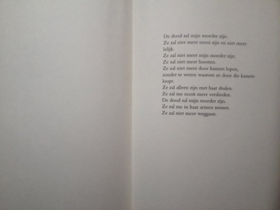 Arnon Grunberg - Brieven aan Esther + insert gedicht "De dood zal mijn moeder zijn" - Afbeelding 3