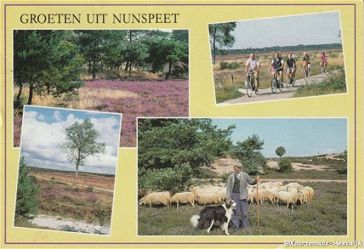 Groeten uit Nunspeet 1996 - 1