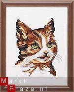 Borduurpakket "POES" NIEUW !