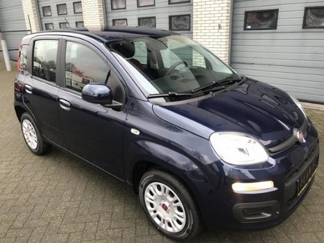 Fiat Panda - 1.2 Easy - 1