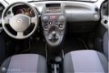 Fiat Panda - 1.2 Edizione Cool Airco Audio Centr vergr 27000 Km - 1 - Thumbnail