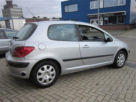 Peugeot 307 - 1.6-16V XS - 1