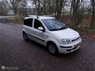 Fiat Panda - 1.2 Edizione Cool / NAP / AIRCO - 1 - Thumbnail